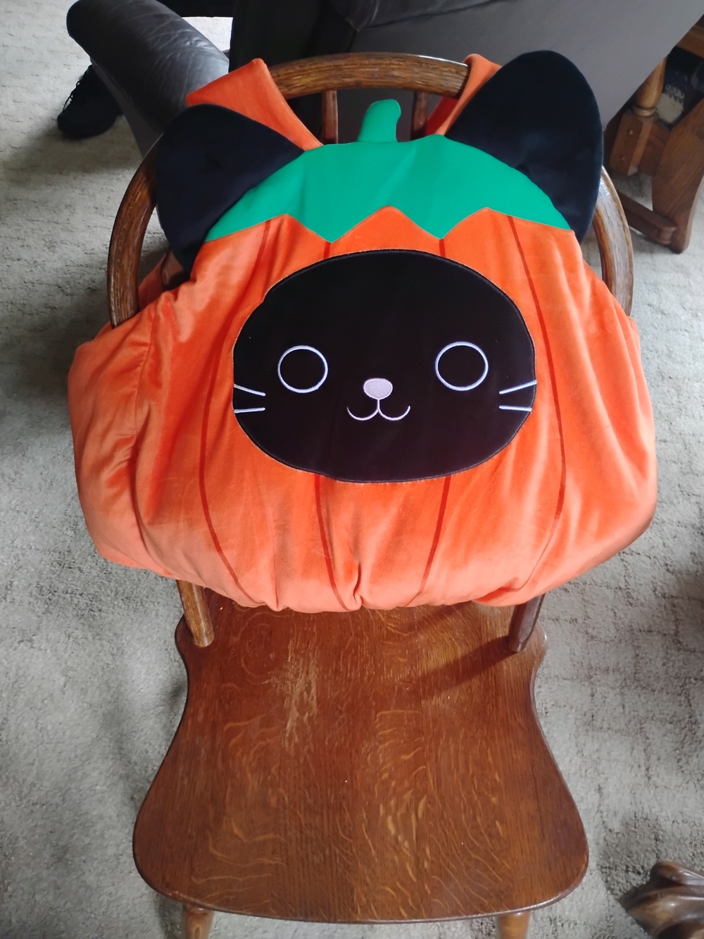Squishmallows Pumpkin Cat Costume - Orange, Green, Black